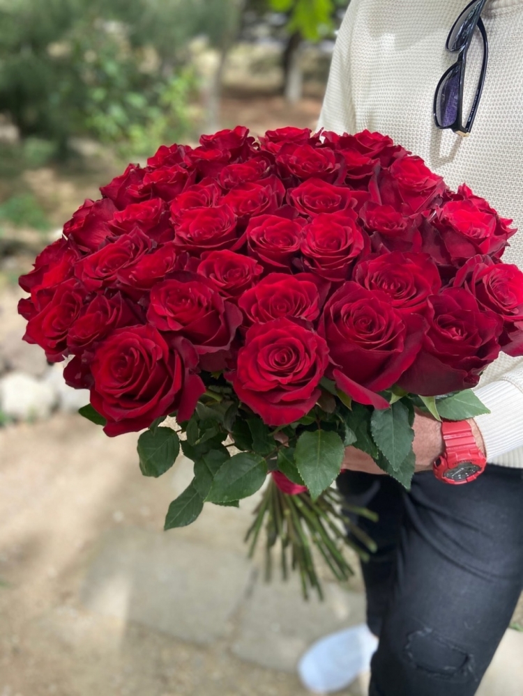 35 импортных красных роза "EXPLORER" 60-70см класса Premium