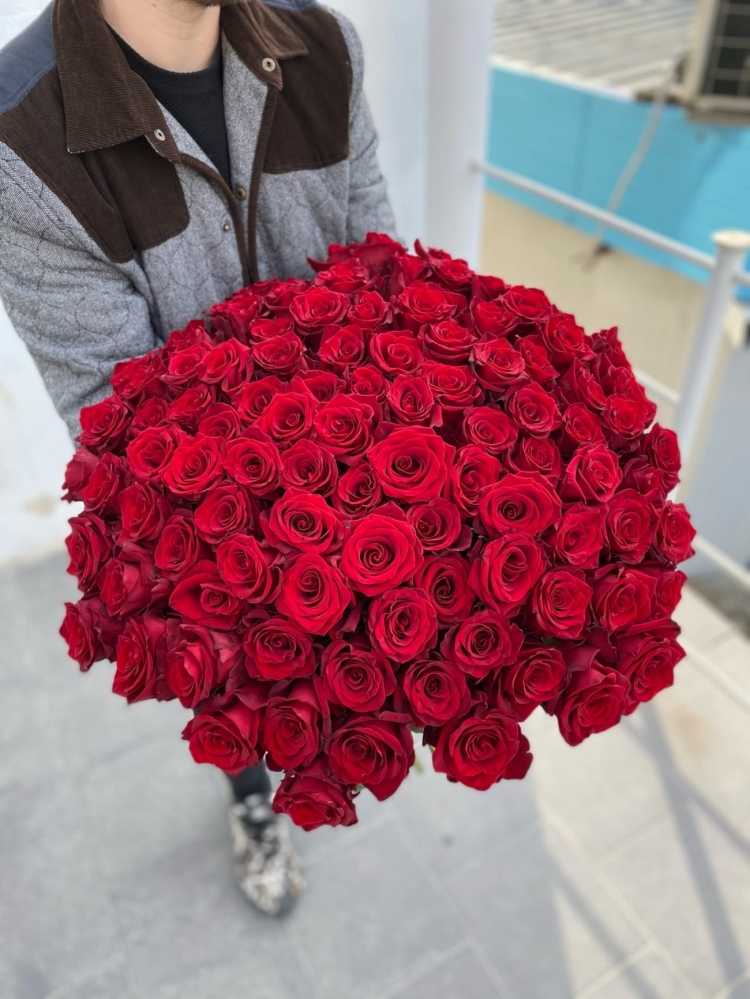 101 красная роза Россия 60-70см