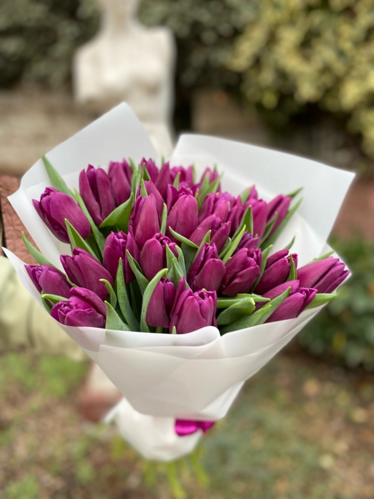 Букет из 35 фиолетовых тюльпанов с оформлением