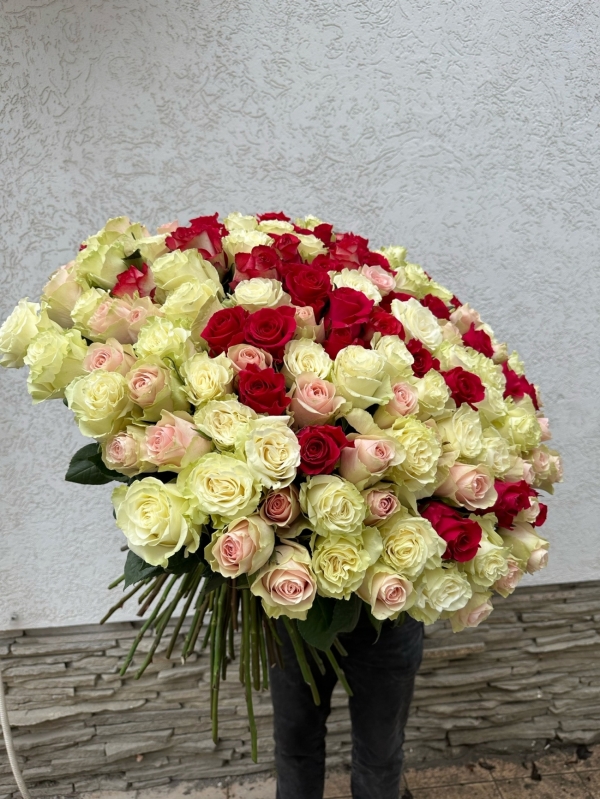 Шикарный букет из 151 розы класса Premium 60-70 см