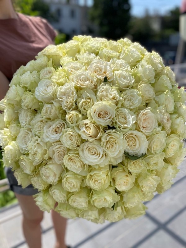 Premium букет из 101 белой розы 60-70см "Эквадор"