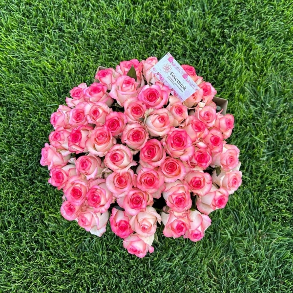 Букет из 51 розы сорт Jumilia 60-70см