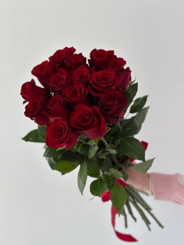 15 красных роз "EXPLORER" Эквадор 60-70см Premium